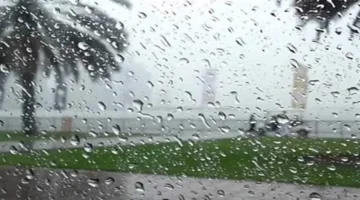 طقس شتوي مستقر.. تحذيرات من صقيع يضرب المزروعات مع انخفاض درجات الحرارة ليلاً